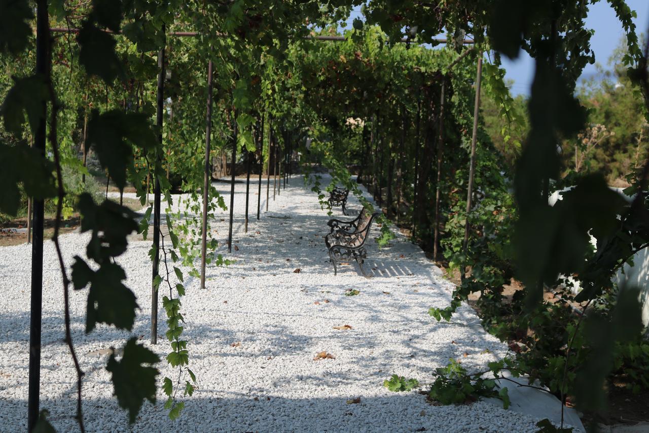 Meryem'S Hotel Agios Epiktitos Bagian luar foto