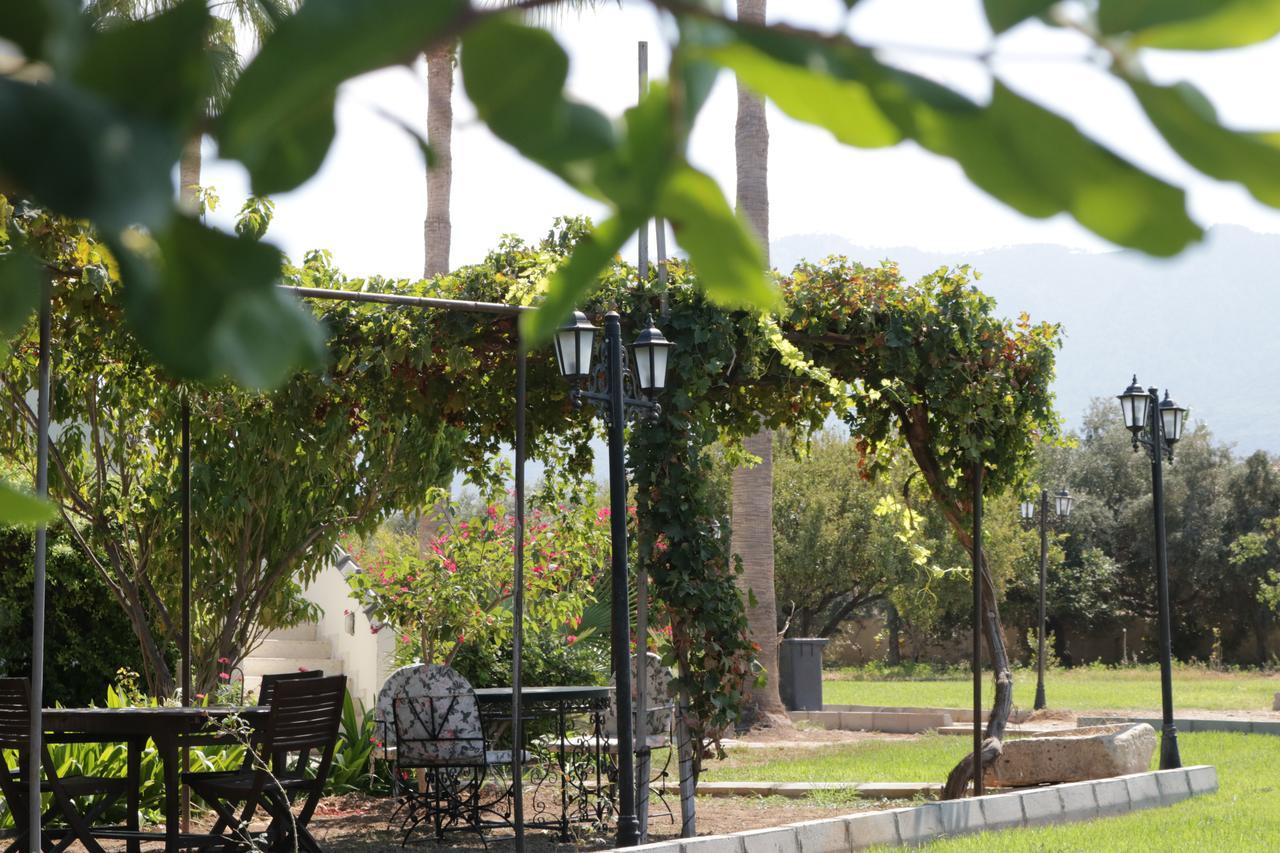 Meryem'S Hotel Agios Epiktitos Bagian luar foto