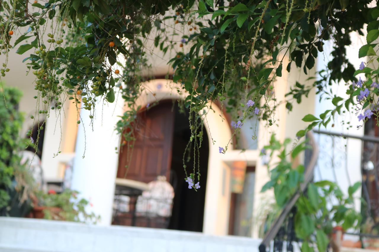 Meryem'S Hotel Agios Epiktitos Bagian luar foto